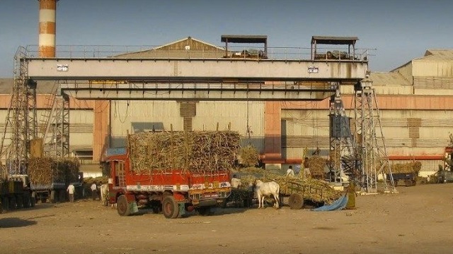 Gallery Image 8