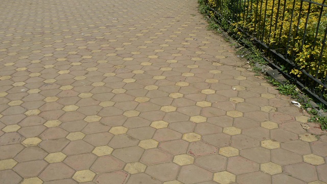 Gallery Image 8